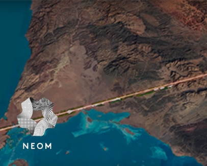 neom case study