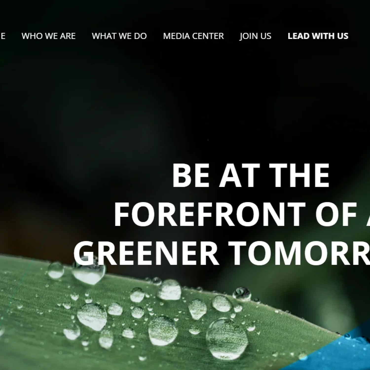 Sustainability Company Profile in Saudi Arabia