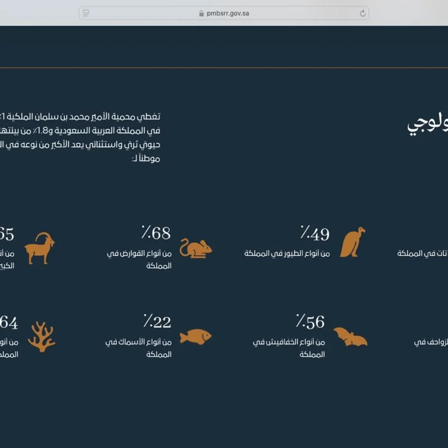 Arabic Localization Services in Saudi Arabia