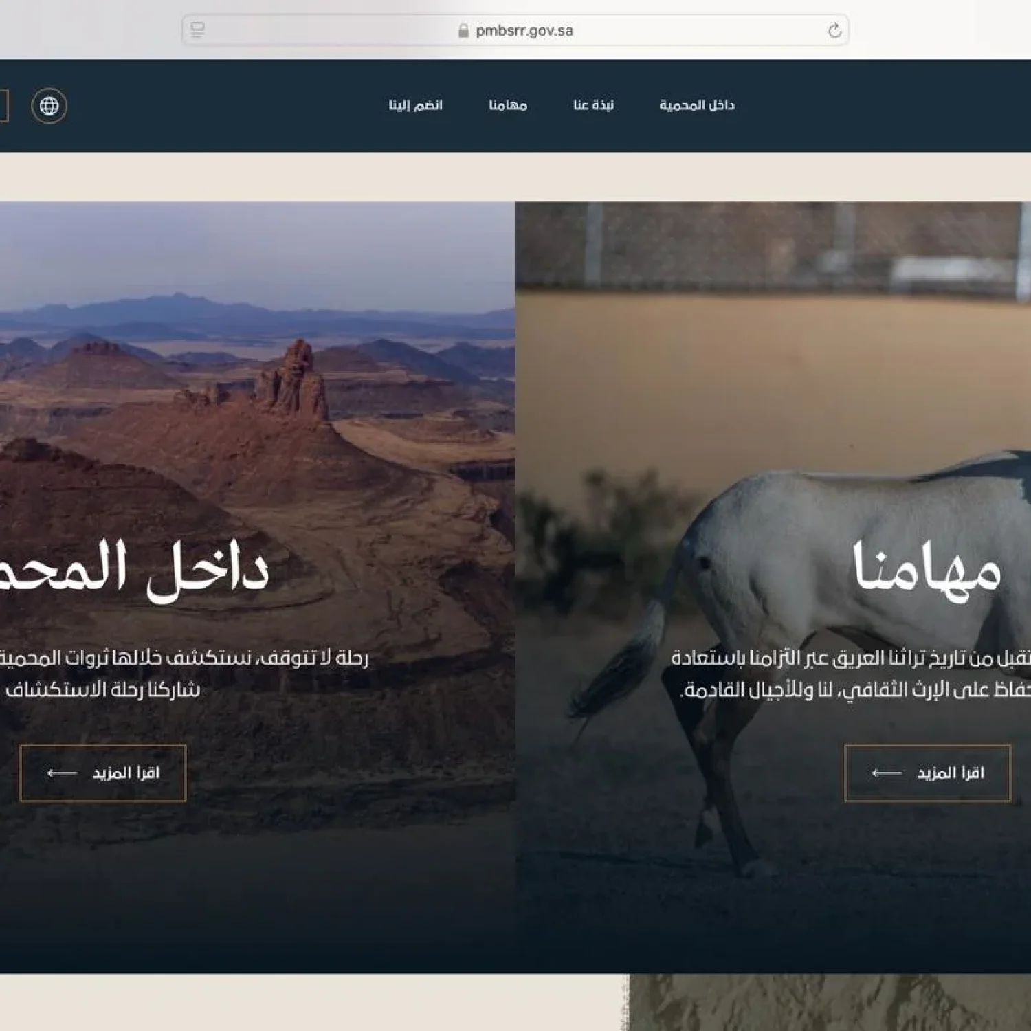 Arabic Localization Services in Saudi Arabia