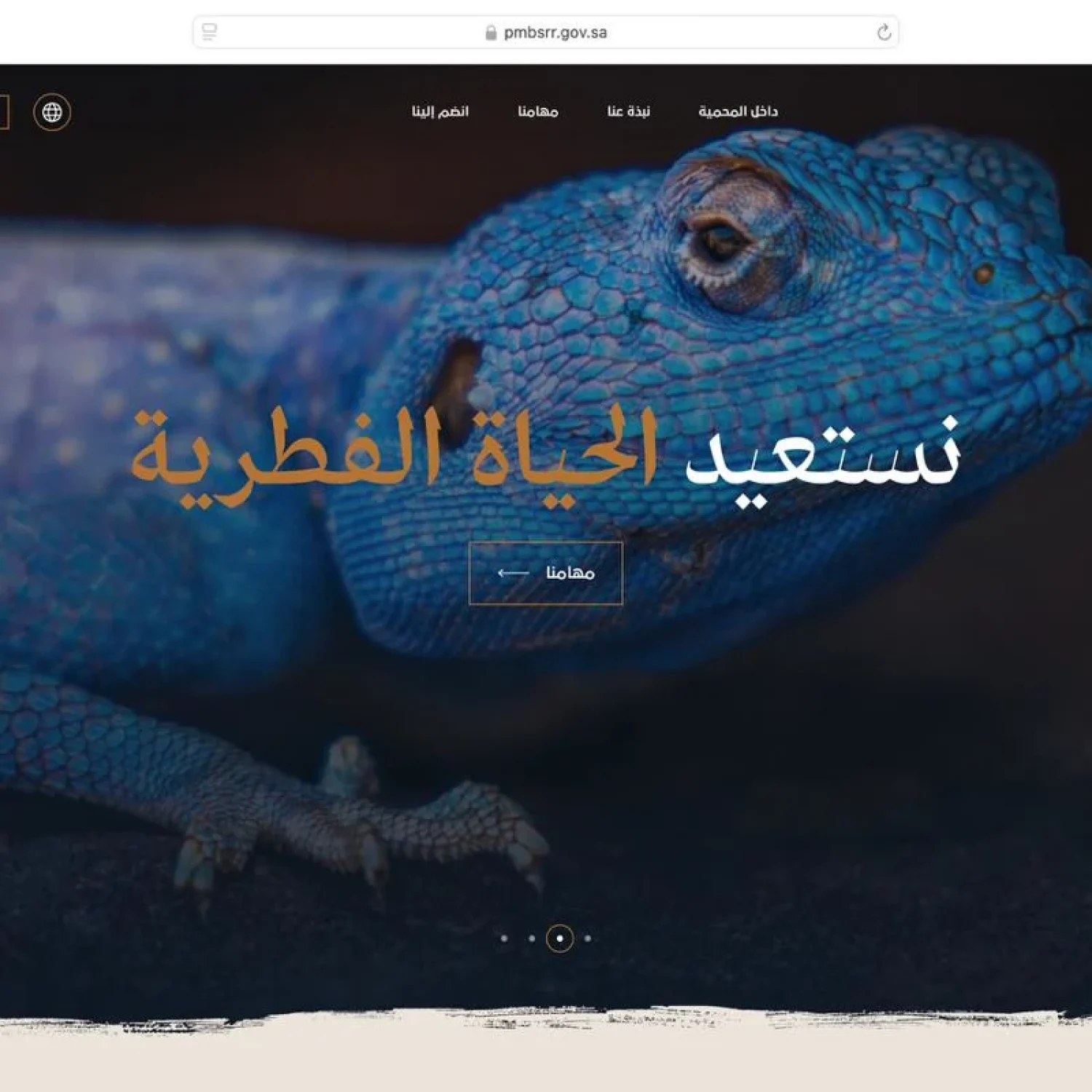 Arabic Localization Services in Saudi Arabia